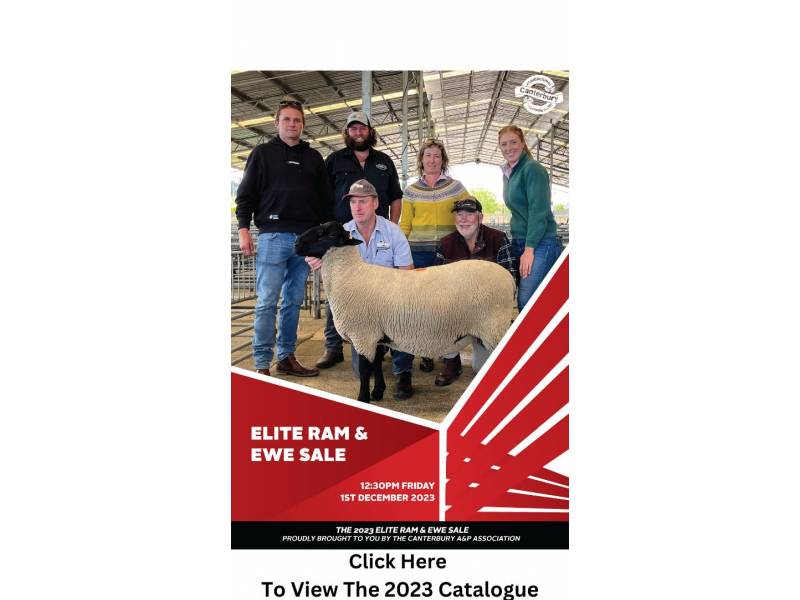 elite-ram-ewe-sale-showing-competition-2023-nzag-show-canterbury-a-and-p-show